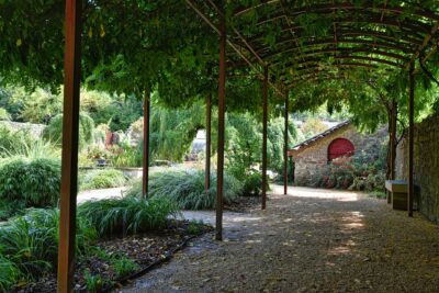 couvrir sa pergola avec végétation et plantes grimpante